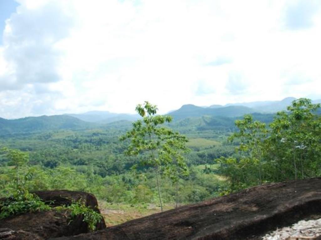 Nature Lovers Resort Ingiriya Esterno foto
