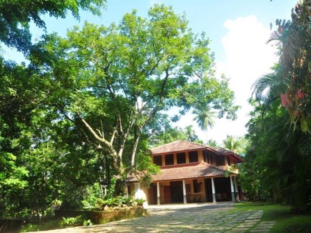 Nature Lovers Resort Ingiriya Esterno foto
